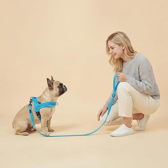 Didog 6FT Reflective Dog Leash for Small Medium Dogs, Slim 5/8" Width, Blue | Soft Padded Handle, Plush Comfort Grip, Tangle-Free, 360° Swivel Clasp for Daily Walking and Training, Night Safety - Image 3