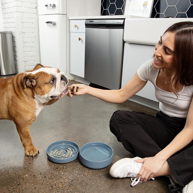 Should We Go? Slow Feeder Dog Bowls - Medium Size Silicone Slow Eating Dog Bowl for Puppies & Dogs with Suction Cup -Dishwasher-Safe, Lick Mat Design, Reduces Gulping,for All Breeds,7.5”x1.5”- Tan - Image 2