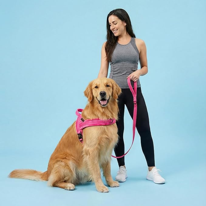 Didog 6FT Reflective Dog Leash for Medium Large Dogs,3/4" Width, Hot Pink | Soft Padded Handle, Plush Comfort Grip, Tangle-Free, 360°Heavy-Duty Strengthened Clasp for Daily Walks/Training, Night Safety - Image 3