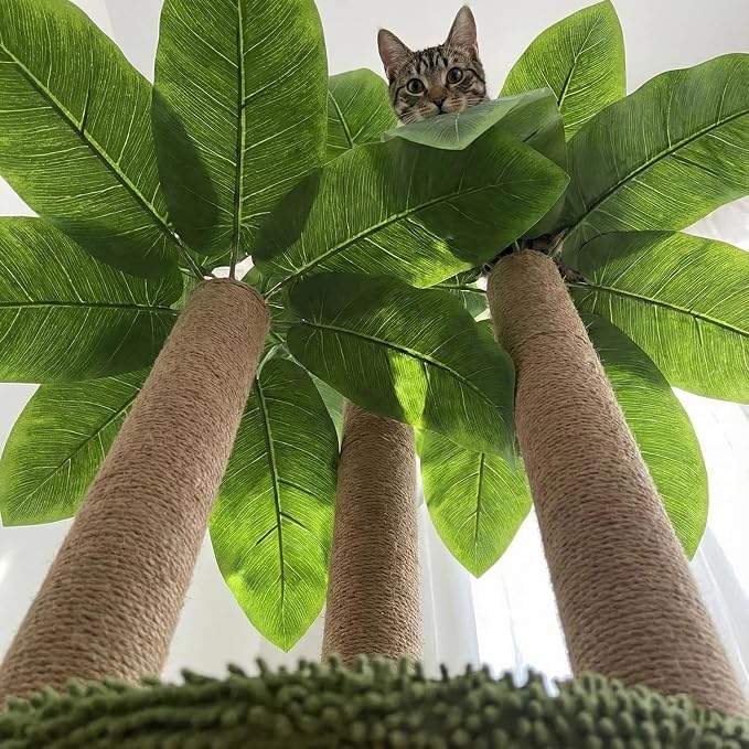 LEMONDA 31.5Inch Cat Scratching Post,Cat Scratcher Tree with 3 Scratching Poles & 2 Interactive Dangling Balls,Cats Scratching Posts for Indoor Kitten & Adult Cats | Cat Scratcher Tree, Cat Scratching Posts,3 Scratching Poles,2 Interactive Dangling Bal... - Image 7