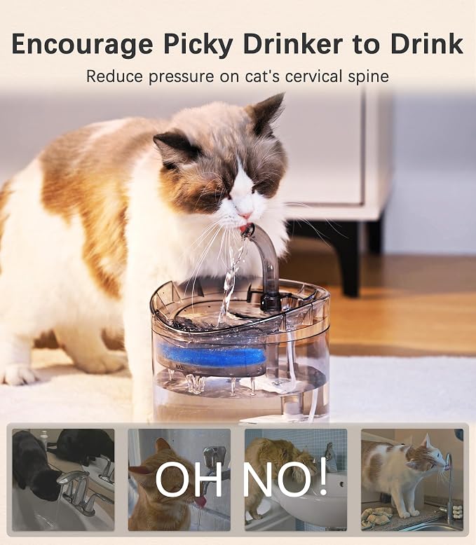 Cat Water Fountain Animal Water Dispenser 61OZ/1.8L Automatic Pet Drinking Fountain with 3 Filter Replacement 1 Pump 1 Cleaning Brush kit 1 Silicone Food Mat 1 Adapter for Cats Kitty Indoor - Image 7