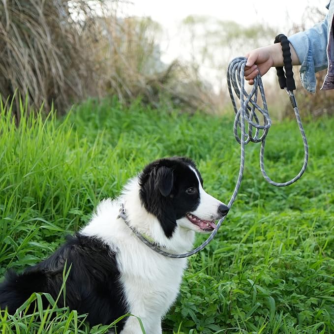 NTR Heavy Duty Dog Leash, 15FT Training Leash with Swivel Lockable Hook, Padded Handle and Highly Reflective Threads, Dog Lead for Walking, Hunting, Camping, Backyard for Small Medium Large Dog, Grey - Image 7
