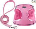 BOOMIBOO Dog Harness with Leash Set, No Pull Adjustable Reflective Step-in Puppy Pet Vest Harnesses for Small Medium Large Dogs and Cats,Pink XS | Lightweight Breathable Air Mesh, Night Safety Reflective by BOOMIBOO