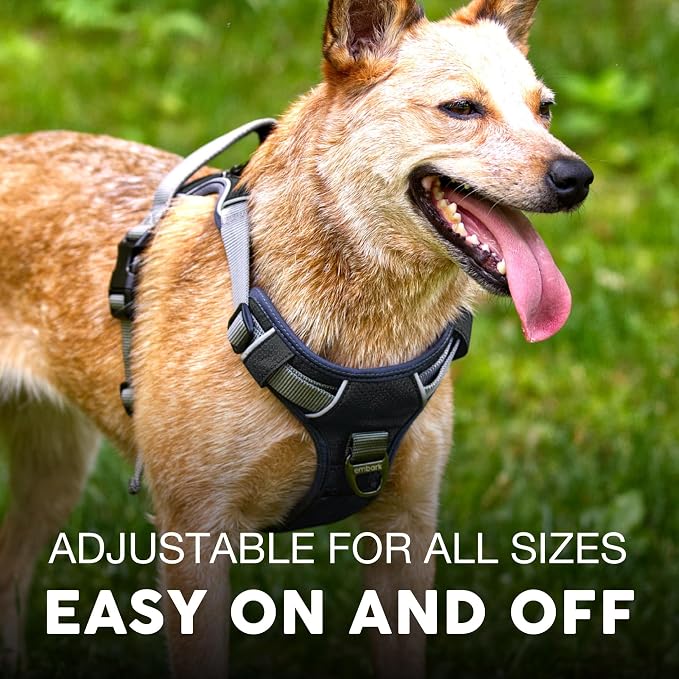Embark No Pull Dog Harness, Reflective Adjustable Training Vest, No Choke | Adjustable straps fit all dog breeds with sturdy hooks; 360° reflective trim, soft padded Harness Design for All Dogs - Image 5