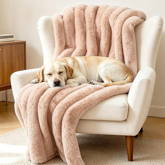 Dog Blanket for Small Dogs, Soft Rabbit Fur Puppy Blanket 25x35 Coffee | Nodarko Double-Sided 600GSM Rabbit Fur & Fleece Dog Blanket, Washable Pet Blanket for Couch, Crate & Car Seat - Image 6
