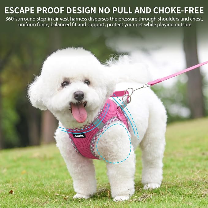 Small Dog Harness and Leash Set Strong Magic Tape, Hot-Pink, XS | No Pull Step-in Vest for Puppy, Breathable Mesh, Reflective & Escape-Proof Design, Outdoor Use for Chihuahua, Maltese - Image 9