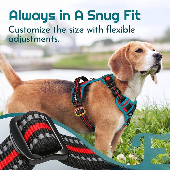 Eagloo Dog Harness No Pull for Large Dogs, Easy On & Off with 3 Buckles | No Choke with Front Clip, Adjustable Fit, MOLLE System, Reflective Vest, Easy Control for Walking, Red & Teal, Large - Image 8