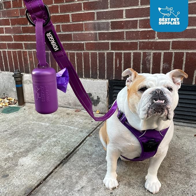 Best Pet Supplies Dog Poop Bag Holder Leash Attachment with Reusable Dispenser for Travel, Walking, Park, and Outdoor Use, Durable with Clip-On - Turquoise, Pack of 2, Plastic Dispenser w/30 Bags - Image 5