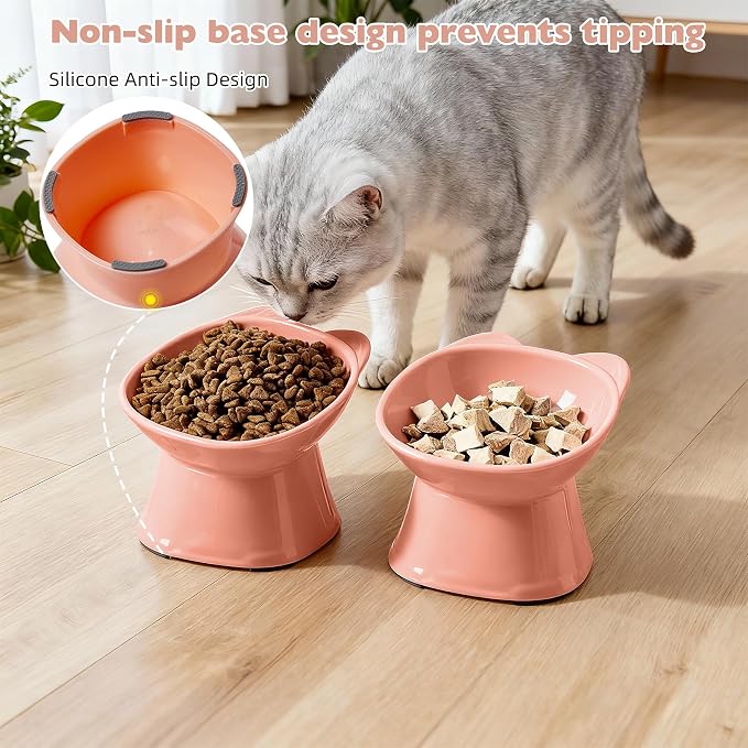 KSIA Klear Elevated Cat Bowls 2 Pack, Tilted Raised Cat Bowl for Food and Water, 4.72" Wide, Whisker Friendly Anti Vomit for Indoor Cats, Microwave and Dishwasher Safe, Pink - Image 6