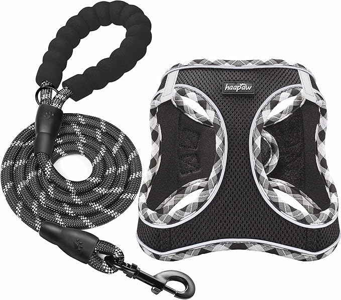 haapaw Dog Harness with Leash Set, No Pull Adjustable Reflective Step-in Puppy Harness with Thickened Padded Vest for Extra-Small/Small Medium Dogs by haapaw