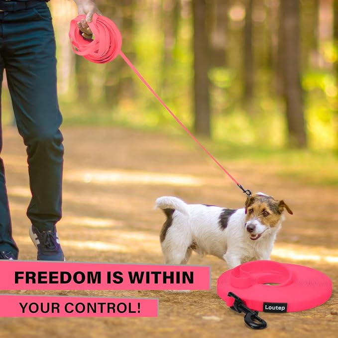 Dog Training Leash - Long Line for Recall & Obedience, Nylon Training Lead with Padded Handle, 15 ft / 20 ft / 30 ft / 50 ft / 100 ft - Long Leash for Dogs Outside, Small/Medium/Large | Durable nylon webbing with reinforced stitching and 360° swivel cl... - Image 7
