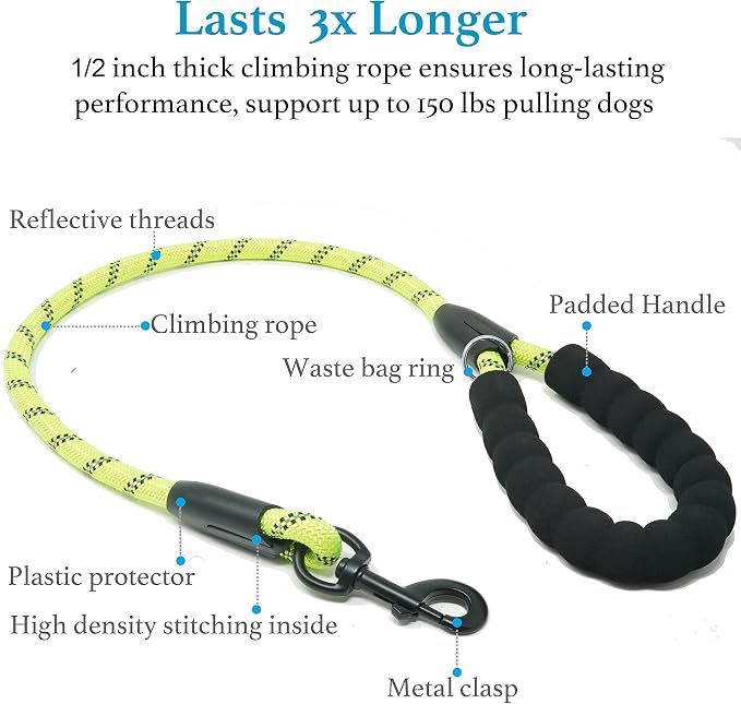 Double Dog Leash, 360° Swivel, No Tangle, Large, 25-150 lbs, Green | Dual Leash for Two Dogs, Split Leash, Shock-Absorbing Bungee, Padded Handle, Heavy-Duty Rope - Image 3