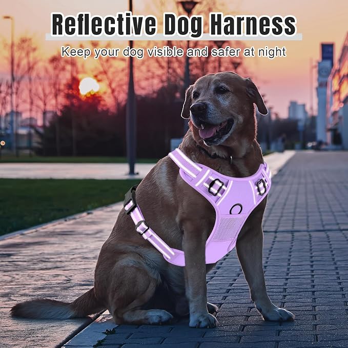 Rnivvi No Pull Dog Harness, Cute Reflective Medium Sized Puppy Kitten Harness, Adjustable Soft Padded Vest for Medium Dogs, Heavy Duty Pet Vest with Easy Control Handle for Walking, Purple - Image 6