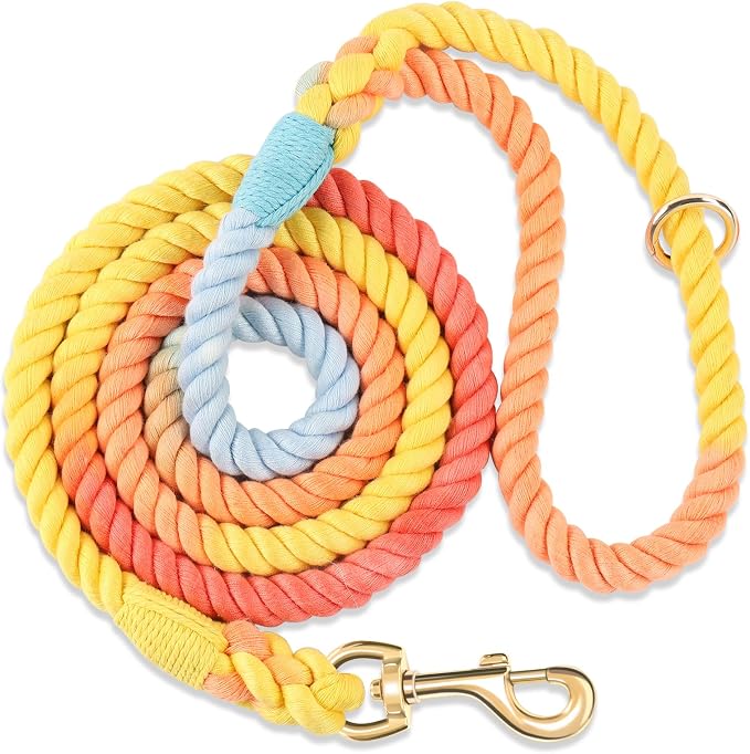 6 FT Handmade Rope Dog Leash for Small Medium and Large Dogs | Soft and Comfortable Grip, New Golden Heavy Duty Metal Clasp, Colorful Rainbow by PetsGoodFriend