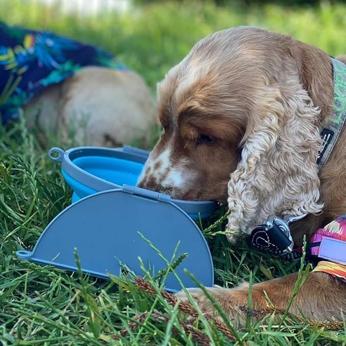 Loving Pets Bella Roma Collapsible Dog Bowls - Silicone Dog Bowls, Foldable Bowl, Puppy Essentials & Hiking Pet Supplies Great for Home & Travel (Blue, Large) - Image 8