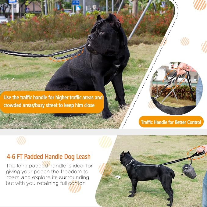 Heavy Duty Bungee Dog Leash with Locking Carabiner for Large Dogs | No Pull Bungee Shock Absorbing, 2 Padded Handles for control, Fits 60-150 lbs Dogs, Seatbelt Buckle, Reflective - Image 4