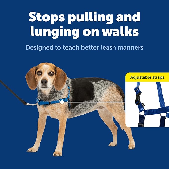 PetSafe Easy Walk Harness, No Pull Dog Harness, Royal Blue, Small/Medium | Patented Martingale Loop Gives Gradual Shoulder Pressure to Stop Pulling, Front-Chest Leash Clip Prevents Gagging - Image 3
