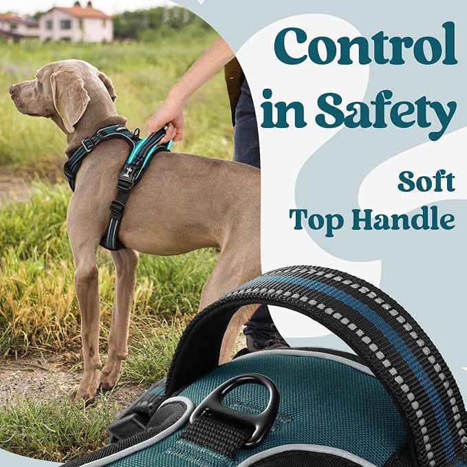 rabbitgoo Dog Harness Small Sized, Updated Easy On & Off with 3 Buckles | No Pull No Choke, Walking with 2 Clips and Handle, Adjustable Soft Reflective, Blue Coral, Small - Image 5