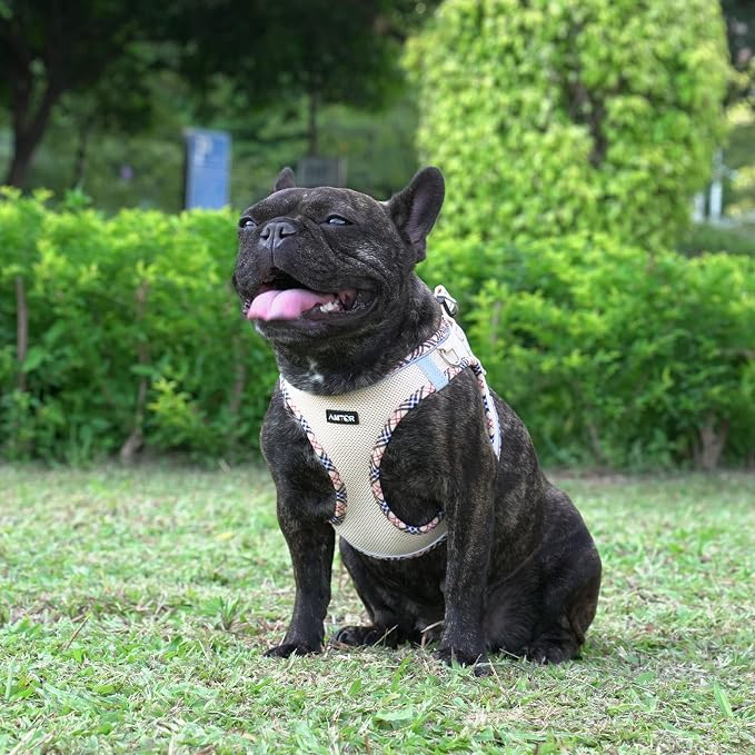 AMTOR Small Dog Harness with Leash Set, No Escape Easy Walk Puppy Harnesses for Training Walking, Step-in Reflective Soft Dogs Vest for XS S Medium Extra-Small Large Sized Dog(Beige,XL) - Image 5