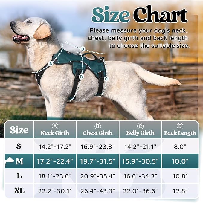 rabbitgoo Escape Proof Dog Harness for Medium, No Pull with Lift Handle | No Escape, Full Soft Padded, Reflective Adjustable Vest, Leash Clip for Walking Hiking Training, Dark Green, Medium - Image 2
