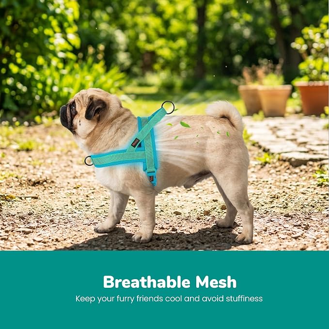 No Pull Dog Harness for Medium Dogs, Breathable Mesh Padded, Green, M | Quick Fit, Easy On and Off, Adjustable, Reflective Vest Harness for Night Safty, Easy for Walking and Training, Chest 21-26" - Image 2