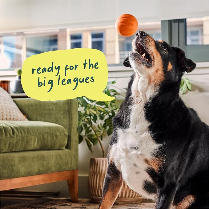 WOOF Flyball Fetch Ball & Dog Treat Dispenser Toy, 3-Pack | 2-in-1 fetch ball, fits standard ball launchers, treat dispenser, durable rubber, dishwasher safe, puzzle enrichment - Image 7