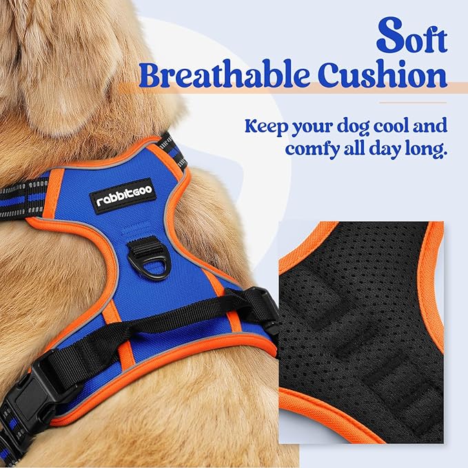 rabbitgoo Dog Harness, No Pull for Small Dogs with 2 Leash Clips, Pet Vest | No Choke with Handle, Adjustable Soft Padded, Reflective, Easy Control for Walking, Blue & Orange, Small - Image 2