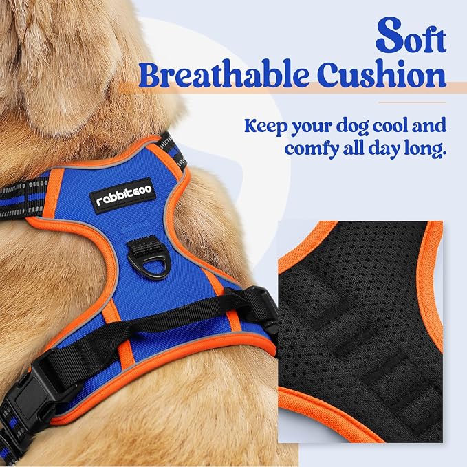 rabbitgoo Dog Harness, No Pull for Large Dogs with 2 Leash Clips, Pet Vest | No Choke with Handle, Adjustable Soft Padded, Reflective, Easy Control for Walking, Blue & Orange, Large - Image 2