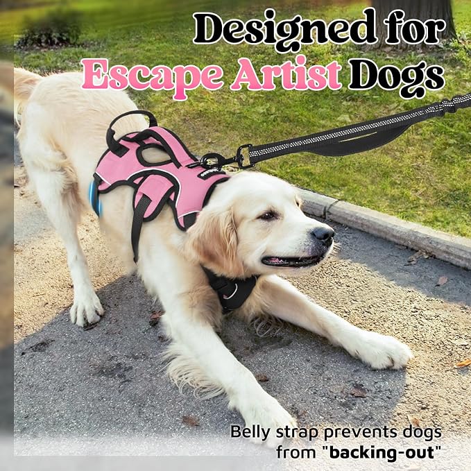 rabbitgoo Escape Proof Dog Harness for Medium, No Pull with Lift Handle | No Escape, Full Soft Padded, Reflective Adjustable Vest, Leash Clip for Walking Hiking Training, Pink, Medium - Image 2