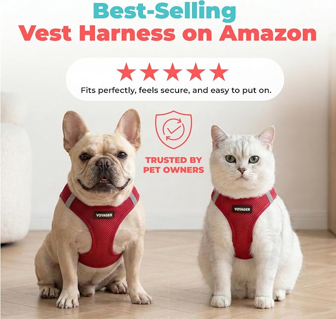 Voyager Step-in Air Dog Vest Harness - Burgundy, XX-Small | 12 - 13.5" in Chest, Reflective Bands, All Weather Breathable Air Mesh, Cats Compatible, Lightweight, Fast Drying - Image 6