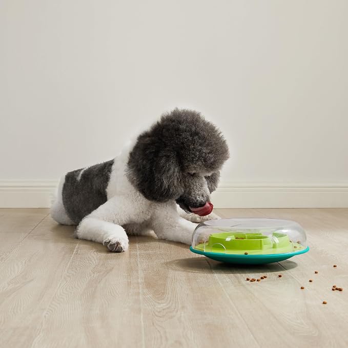 Outward Hound by Nina Ottosson Wobble Bowl Slow Feeder Dog Puzzle, Level 1 Beginner, 11.6 inches x 3.5 inches, Multicolored | Level 1 Easy, Holds 1 Cup Kibble or Treats, Easy Clean, No BPA, Turns Meals into Interactive Game, Enrichment, Dogs & Puppies - Image 8