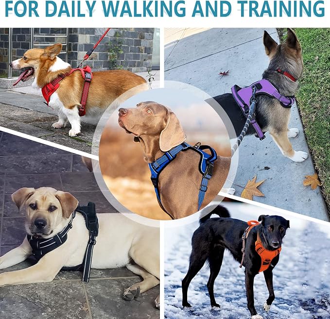 No Pull Dog Harness for Small Medium Large Dogs Adjustable Reflective Pet Vest with Front Clip Padded Harness for Dogs Easy Control Handle Best for Outdoor Training and Walking Purple M - Image 6