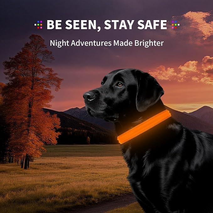 Light Up Dog Collar for Night Walking, Reflective LED Collar(Orange, XL) | Bright Safety Glow in the Dark, Adjustable Comfort Fit, Waterproof, Long Runtime, Easy USB-C Charging - Image 5