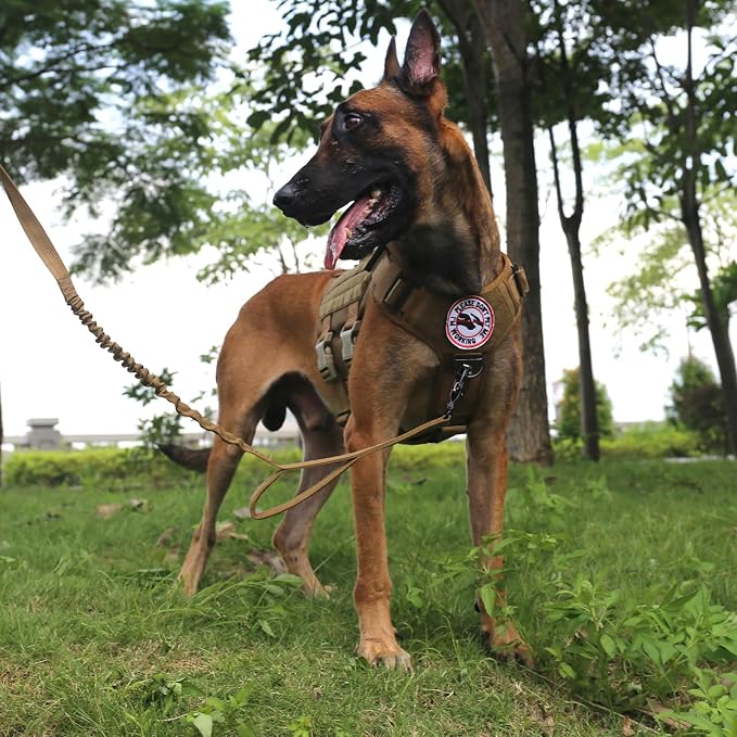 ICEFANG No Pull Tactical Dog Harness for Large Dogs,Adjustable Dog Vest | Control Handle,MOLLE Panel,Front Hook,3 Leash Clips,Soft Padded,for walking training,Brown,Large - Image 5