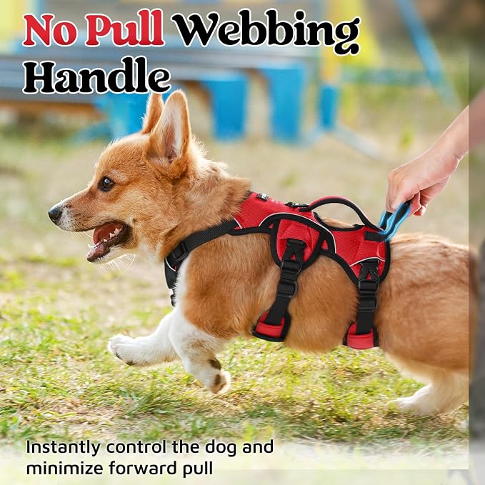 rabbitgoo Escape Proof Dog Harness for Small, No Pull with Lift Handle | No Escape, Full Soft Padded, Reflective Adjustable Vest, Leash Clip for Walking Hiking Training, Red, Small - Image 4