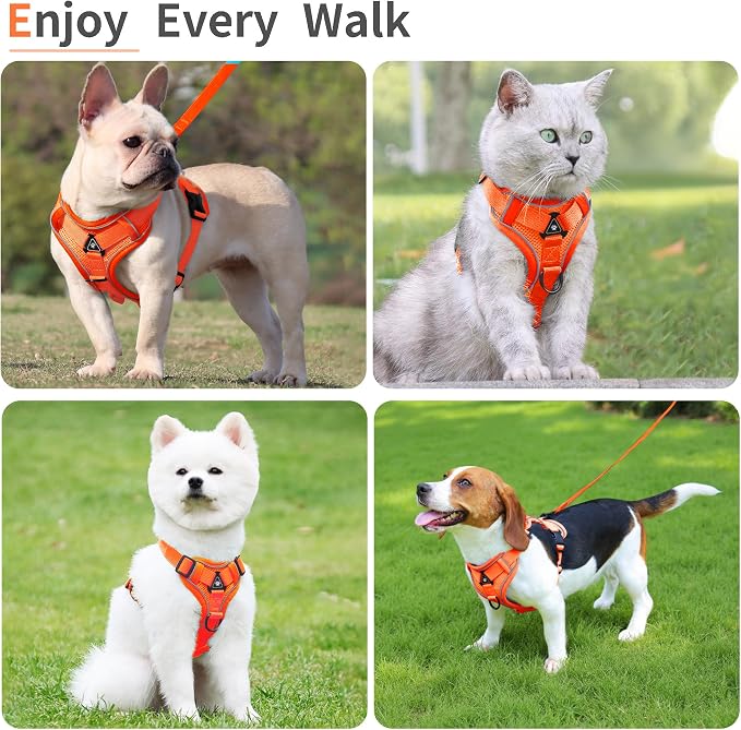 Dog Harness Small Sized Dog Pet Vest with Leash Set Orange M | Adjustable Puppy Vest Harness, No Choke No Pull, Soft Padded, Step-in Dog Vest, Reflective Cat Harness, Breathable Air Mesh - Image 6