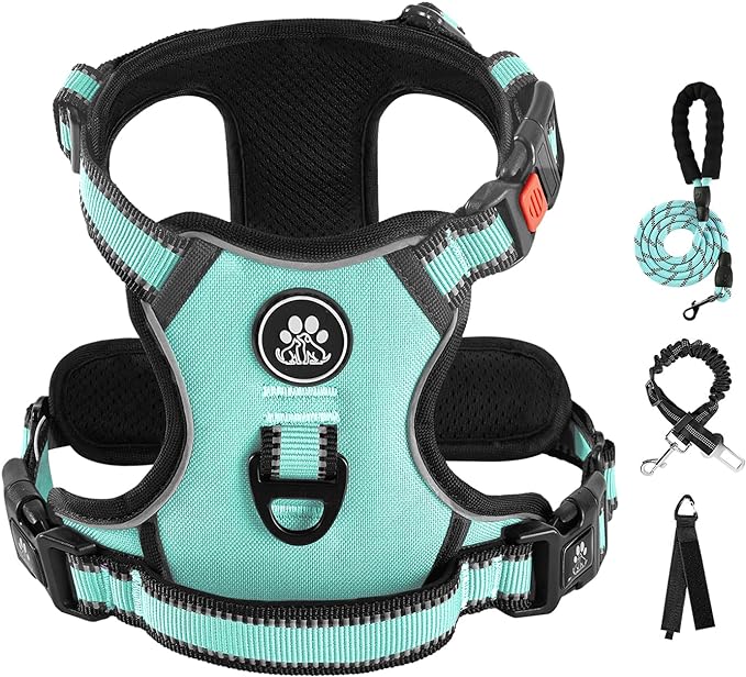 IVY&LANE No Pull Dog Harness with Leash Set, Reflective No Choke Pet Vest,Adjustable Oxford Dog Vest Harness with Easy Control Handle for Medium Dogs (Turquoise,M) by IVYLANE