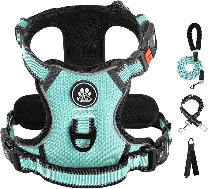 IVY&LANE No Pull Dog Harness with Leash Set, Reflective No Choke Pet Vest,Adjustable Oxford Dog Vest Harness with Easy Control Handle for Large Dogs (Turquoise,L) by IVYLANE