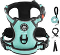 IVY&LANE No Pull Dog Harness with Leash Set, Reflective No Choke Pet Vest,Adjustable Oxford Dog Vest Harness with Easy Control Handle for Large Dogs (Turquoise,XL) by IVYLANE