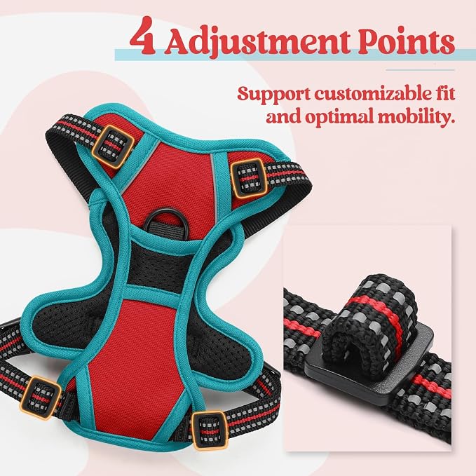 rabbitgoo Dog Harness, No Pull for Small Dogs with 2 Leash Clips, Pet Vest | No Choke with Handle, Adjustable Soft Padded, Reflective, Easy Control for Walking, Red & Teal, X-Small - Image 4