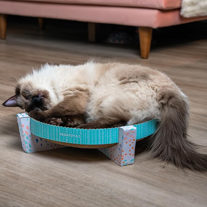 Catstages Scratch,Snuggle & Rest – 2‑in‑1 Indoor Cat Scratcher & Elevated Cat Lounger,Catnip Included,(Pack of 6) - Image 8