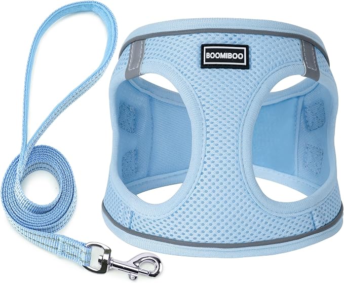 Dog Harness with Leash Set, Step-in Adjustable Puppy Pet Vest, Sky Blue L | Lightweight Breathable Air Mesh, Night Safety Reflective, No Pull Puppy Vest Harnesses for Small Medium Large Dogs, Cats by BOOMIBOO