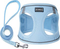 Dog Harness with Leash Set, Step-in Adjustable Puppy Pet Vest, Sky Blue L | Lightweight Breathable Air Mesh, Night Safety Reflective, No Pull Puppy Vest Harnesses for Small Medium Large Dogs, Cats by BOOMIBOO