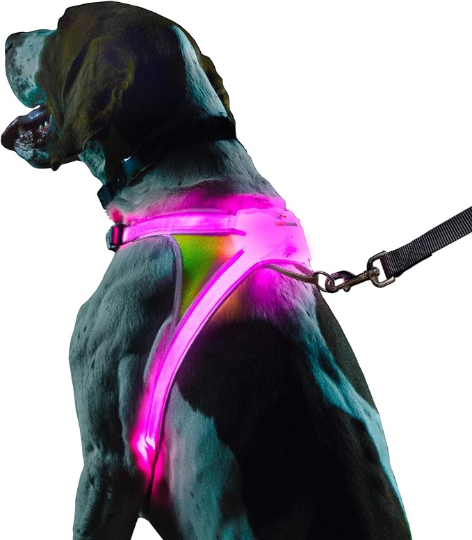 noxgear LightHound Light Up Reflective Dog Harness, Small | 360° Light Up Reflective Dog Harness, 8 Colors & 6 Modes, USB Rechargeable, Adjustable, Rainproof, LED Fiber Optic by Noxgear