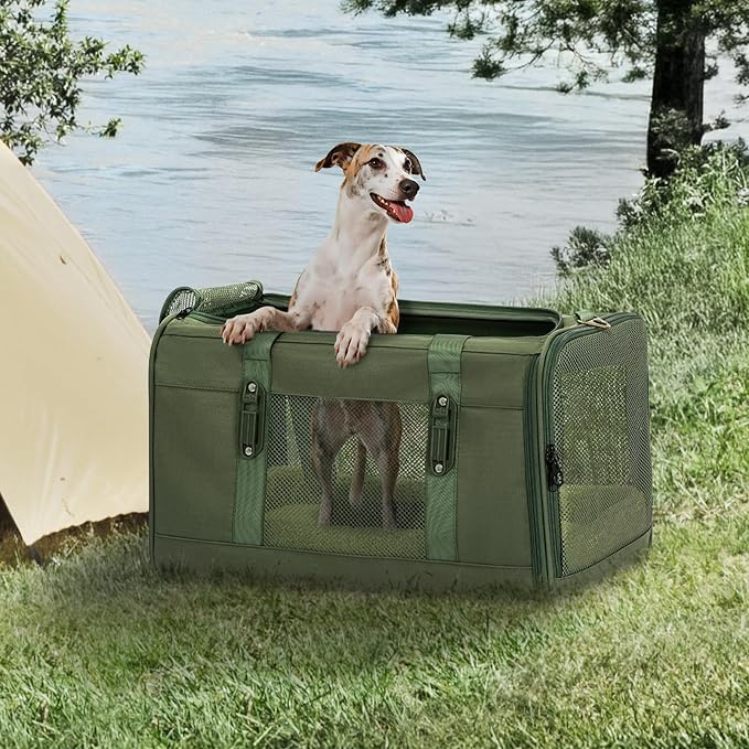 Petsfit 19x12x12 Pet Carrier for Large Cats (up to 20 lbs), Soft-Sided Small Dog Travel Carrier, Upgraded with Patented Buckle and Soft Padding, Ideal for Car Road Trips Green - Image 9
