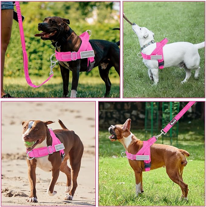SlowTon No Pull Dog Harness with Front Clip - Heavy Duty, Soft Padded | Neck & Chest Adjustable, Tactical Pet Vest and Leash Set for Large Medium Sized Dogs, for Easy Walk & Training, Fuchsia M - Image 8