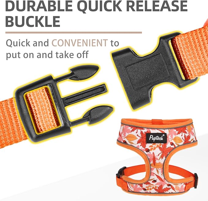 PUPTECK Small Dog Harness and Leash Set No Pull for XS XXS Sized Dogs Puppy | Escape Proof No Choke Pet Cat Adjustable Soft Padded Walking Vest - Image 4