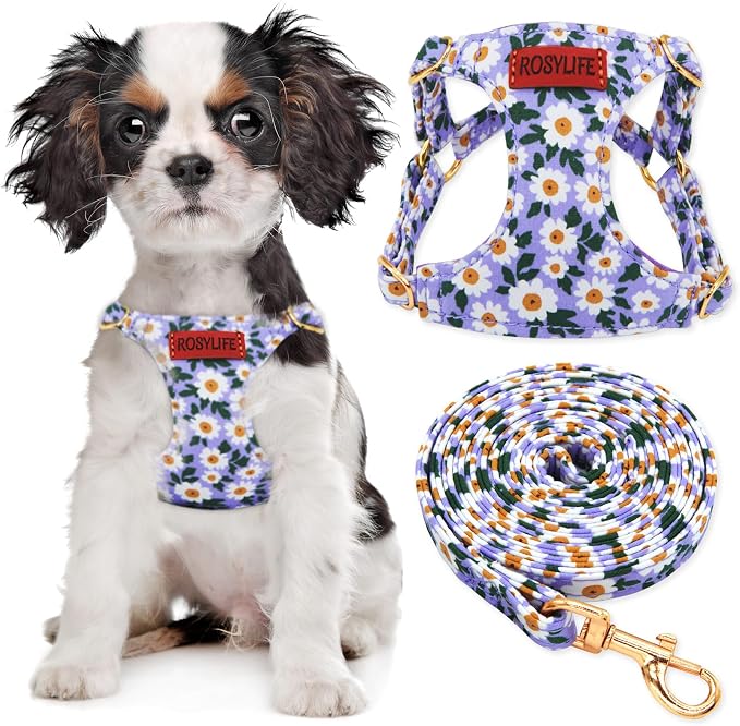 No Pull Dog Harness Adjustable Small Dog Harness and Leash Set, Lightweight and Soft Dog Harness No Choke Escape Proof Pet Harness Vest (Purple Daisy, XS) by RosyLife
