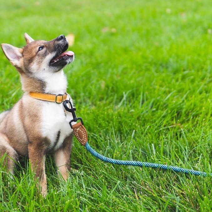Mile High Life Dog Leash with Genuine Leather Connection, 4/5/6 FT | Rope Leash, Heavy Duty 360° Swivel Metal Clasp, for Small Medium & Large Dogs (Green, 72 Inch, 1/2") - Image 6