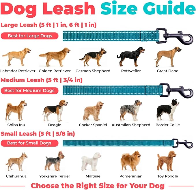 Best Pet Supplies Voyager Nylon Dog Leash - Turquoise, Medium | 5ft in Length, 3/4" in Width, Reflective, Soft Neoprene Handle, Heavy Duty Metal Clips for Running, Walking & Training - Image 6